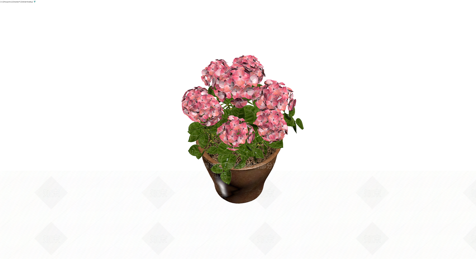 粉色绣球盆栽模型3D模型下载【ID:1229657360】
