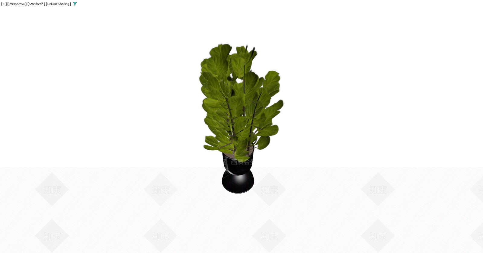 黑色花盆栽植绿植3D模型下载【ID:1229591504】