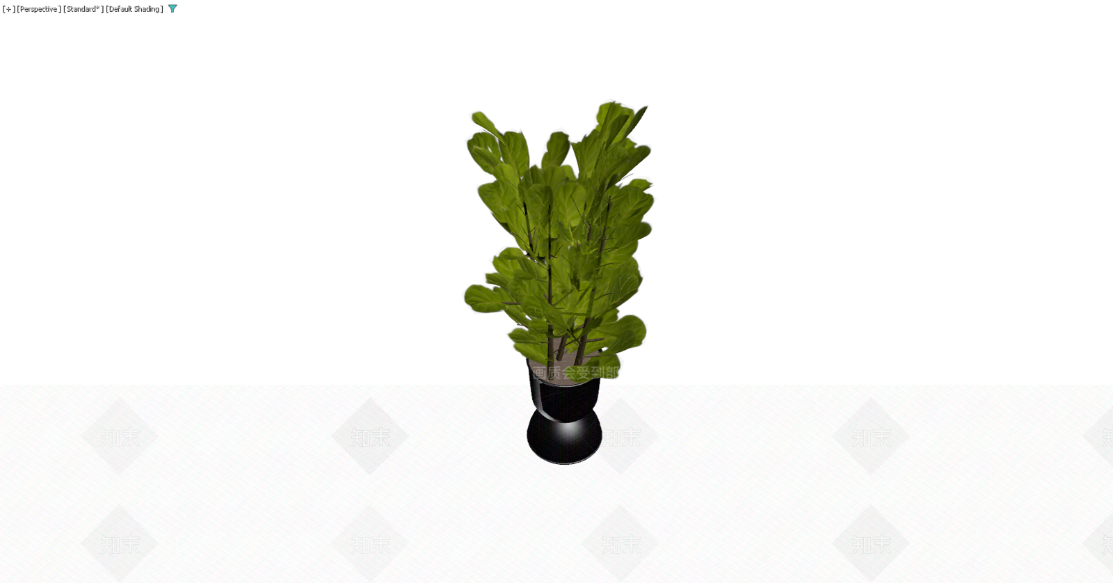 黑色花盆栽植绿植3D模型下载【ID:1229591504】