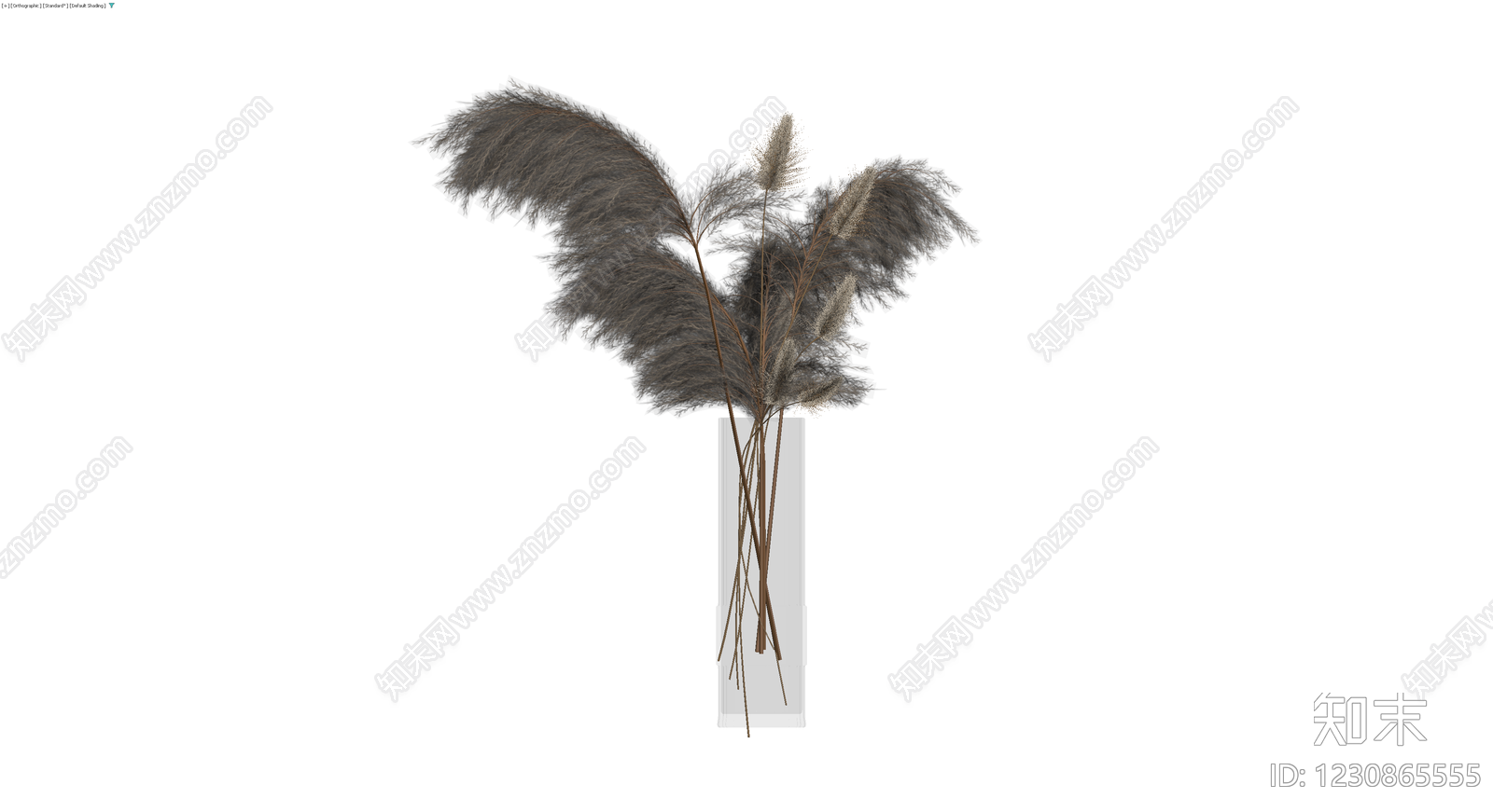 灰色芦苇盆栽组合3D模型下载【ID:1230865555】