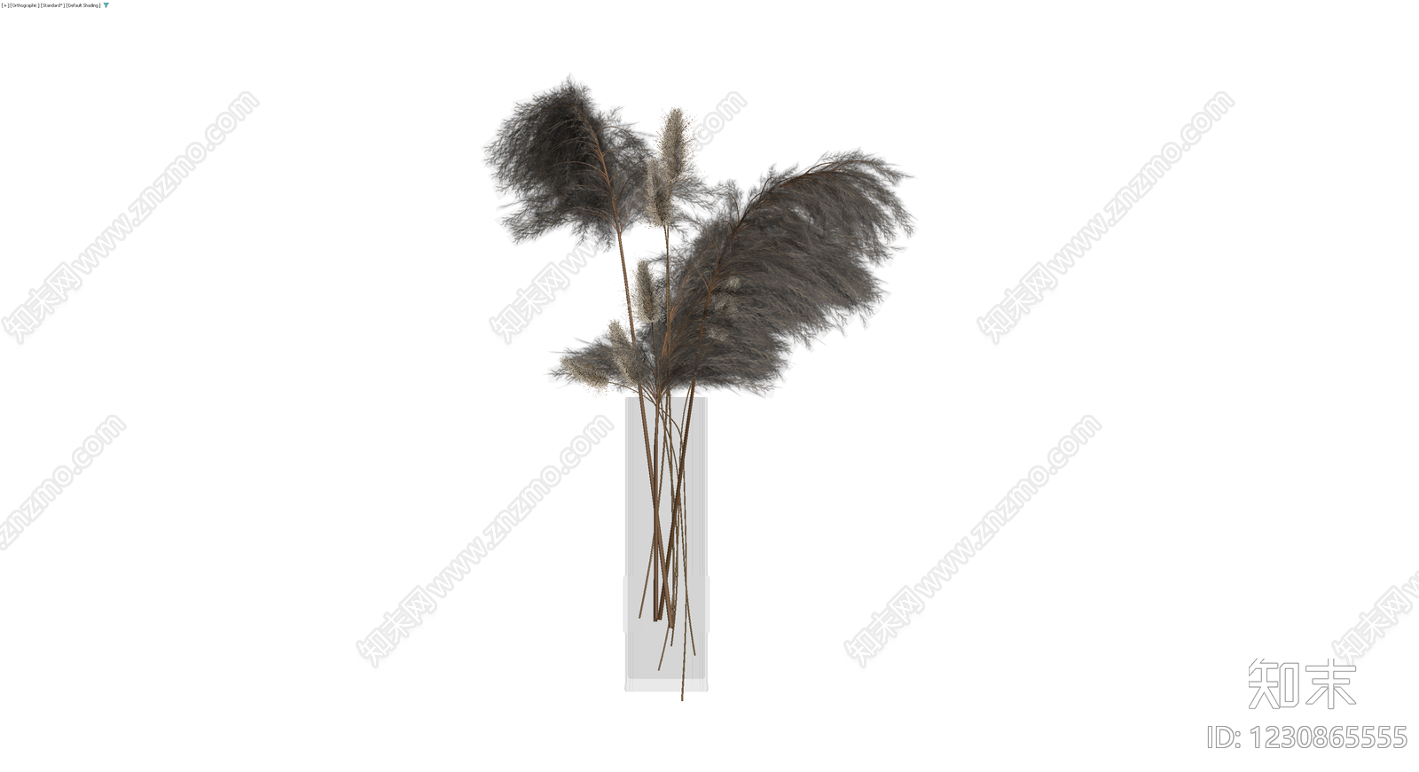 灰色芦苇盆栽组合3D模型下载【ID:1230865555】