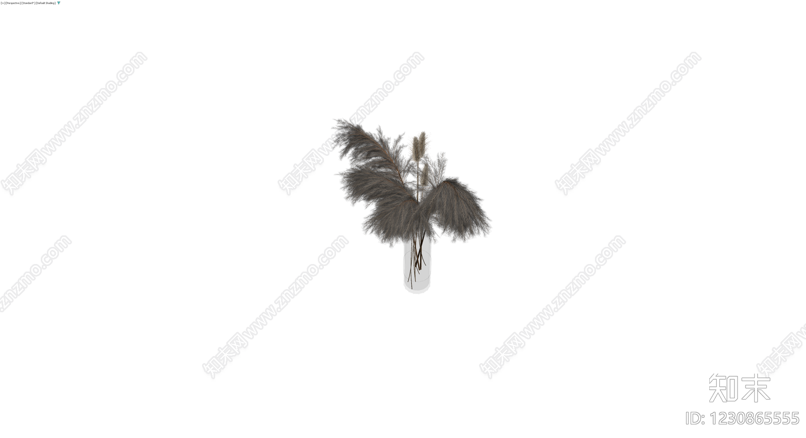 灰色芦苇盆栽组合3D模型下载【ID:1230865555】