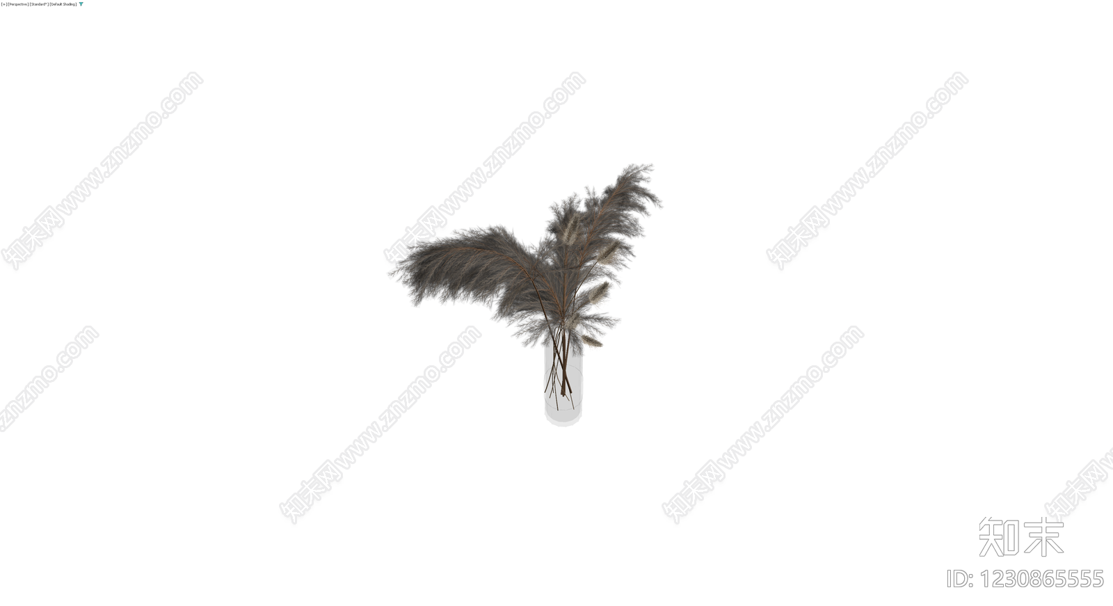 灰色芦苇盆栽组合3D模型下载【ID:1230865555】