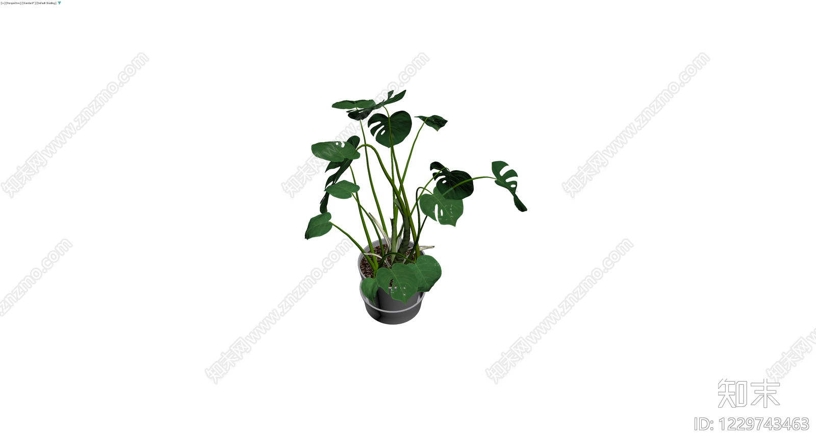 龟背竹盆栽带盆3D模型下载【ID:1229743463】