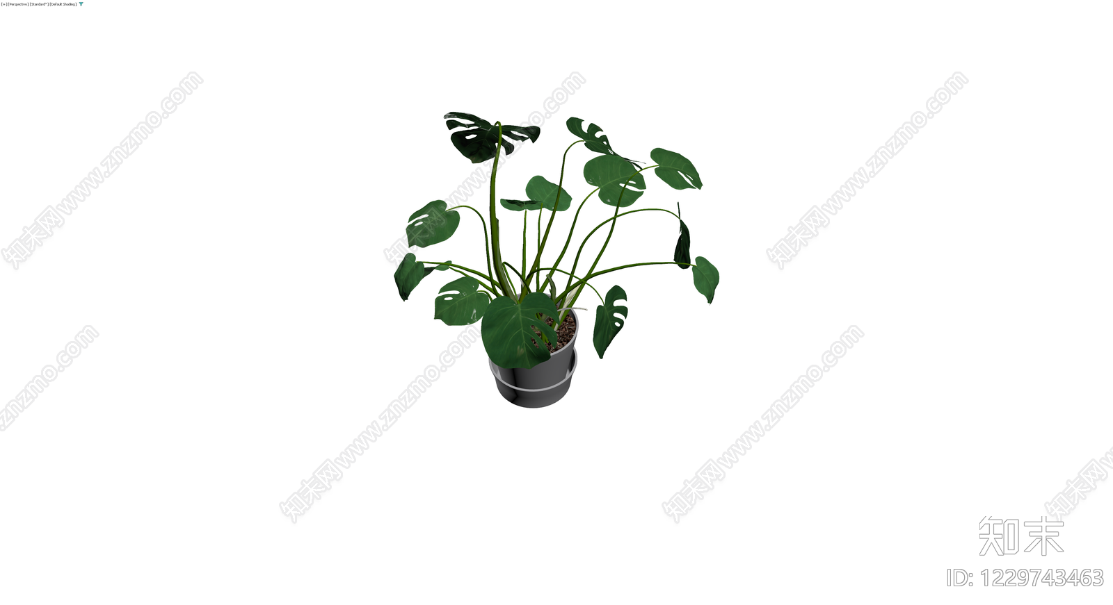 龟背竹盆栽带盆3D模型下载【ID:1229743463】