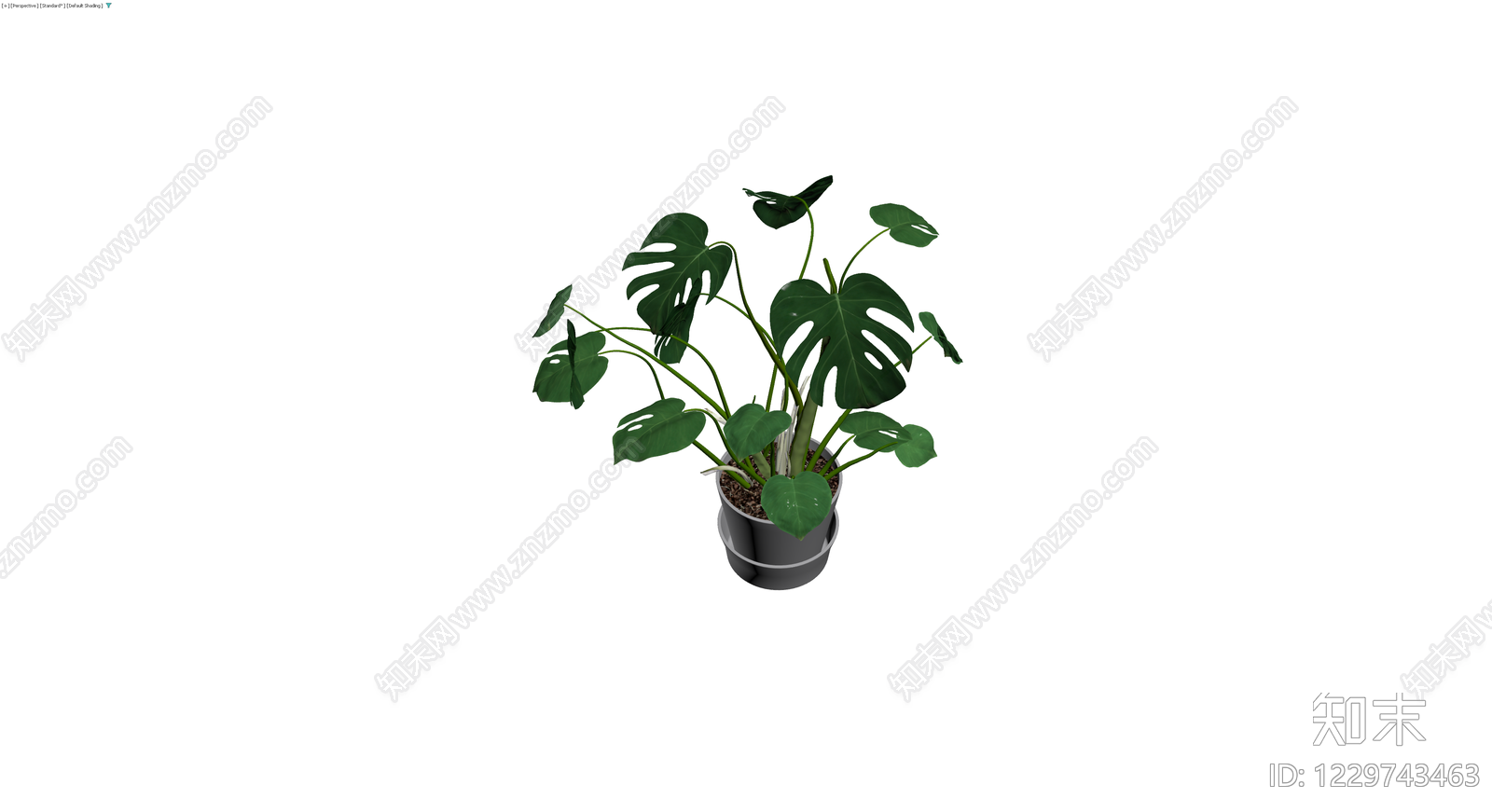 龟背竹盆栽带盆3D模型下载【ID:1229743463】