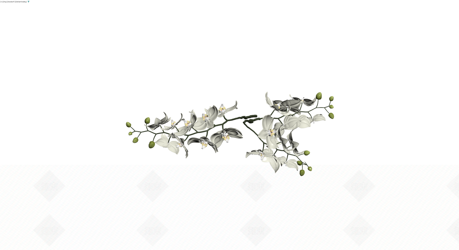 白色蝴蝶兰盆栽模型3D模型下载【ID:1230395561】