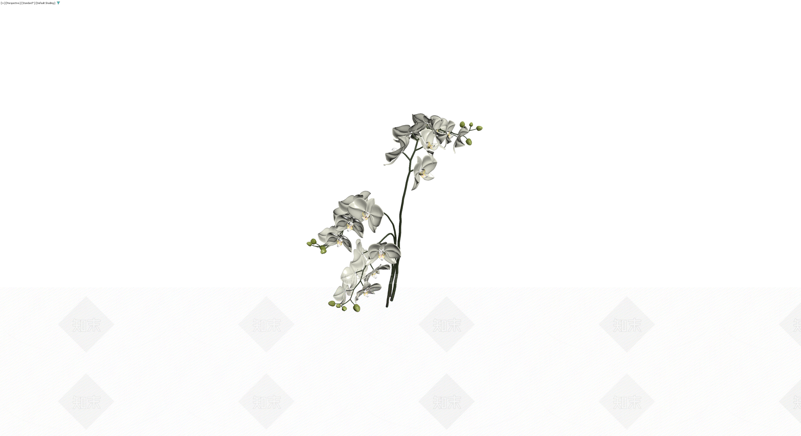 白色蝴蝶兰盆栽模型3D模型下载【ID:1230395561】