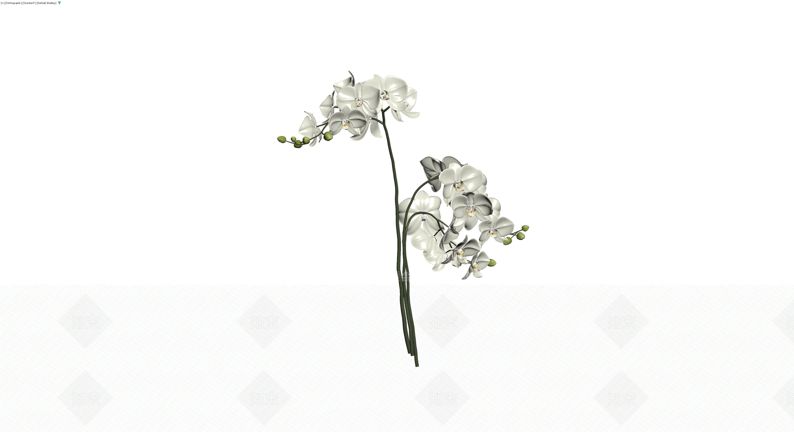 白色蝴蝶兰盆栽模型3D模型下载【ID:1230395561】