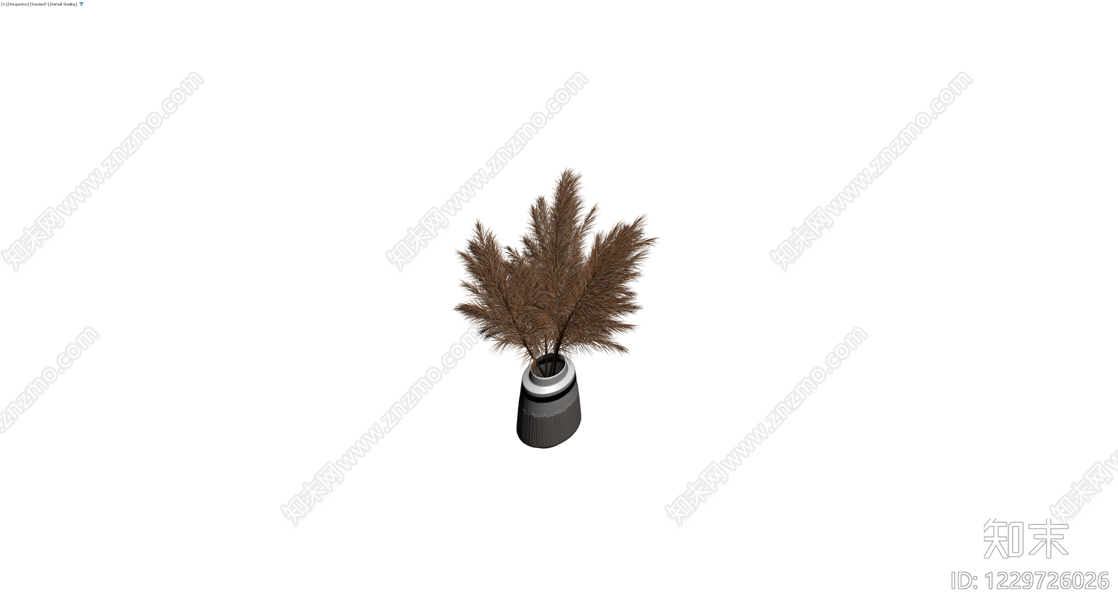 带盆棕褐色芦苇盆栽3D模型下载【ID:1229726026】