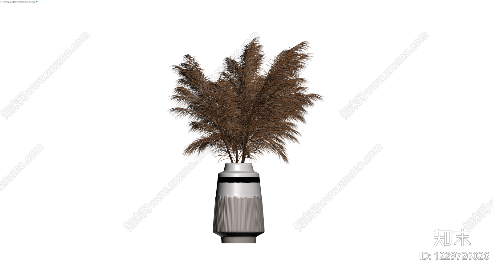 带盆棕褐色芦苇盆栽3D模型下载【ID:1229726026】
