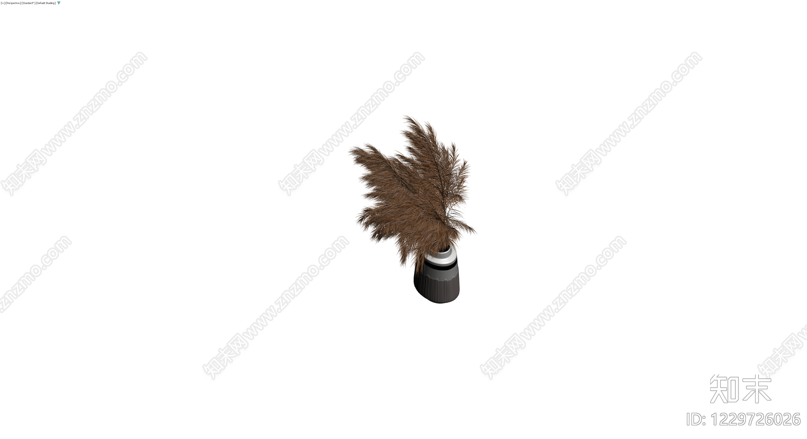 带盆棕褐色芦苇盆栽3D模型下载【ID:1229726026】