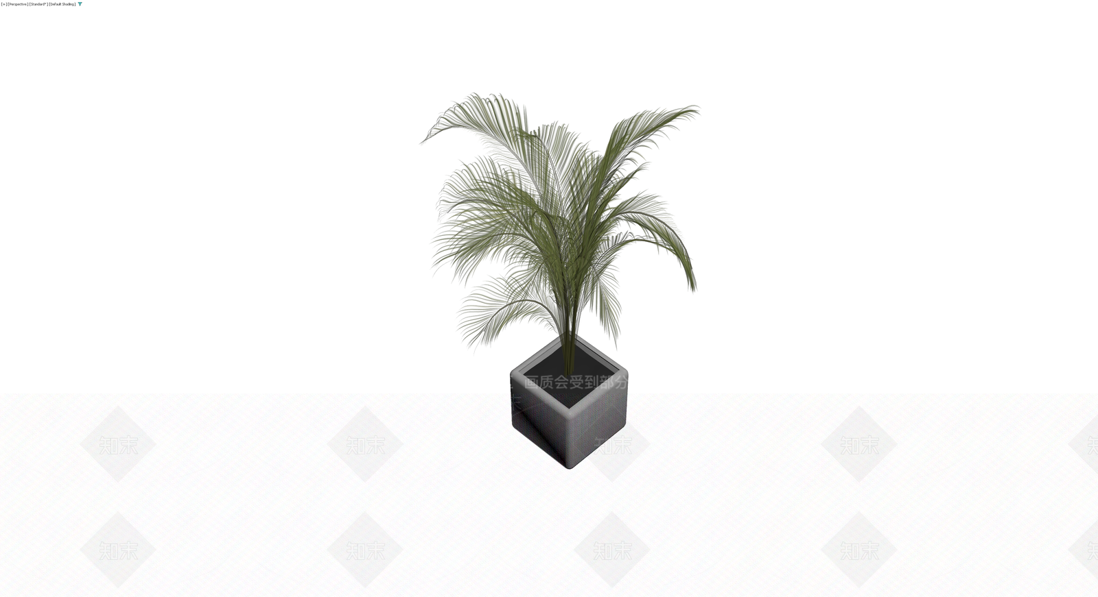 方形花盆散尾葵盆栽3D模型下载【ID:1230572061】