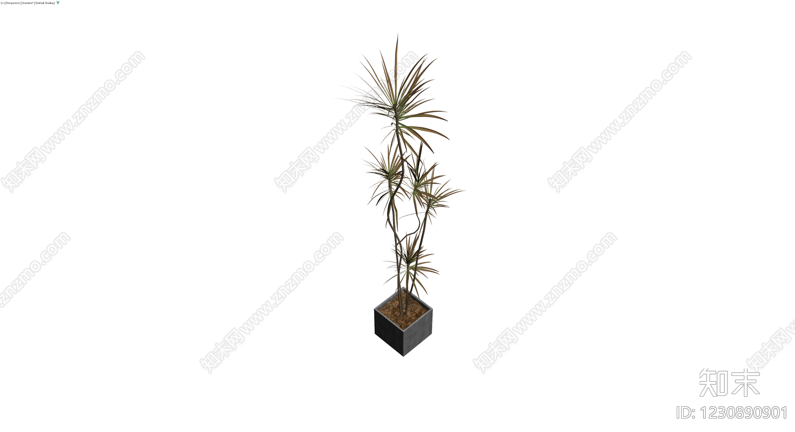 带盆盆栽植物3D模型下载【ID:1230890901】