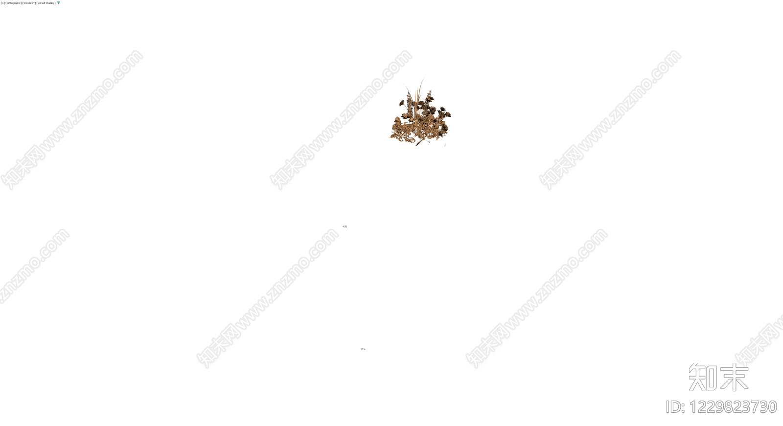 干燥花束组合3D模型下载【ID:1229823730】