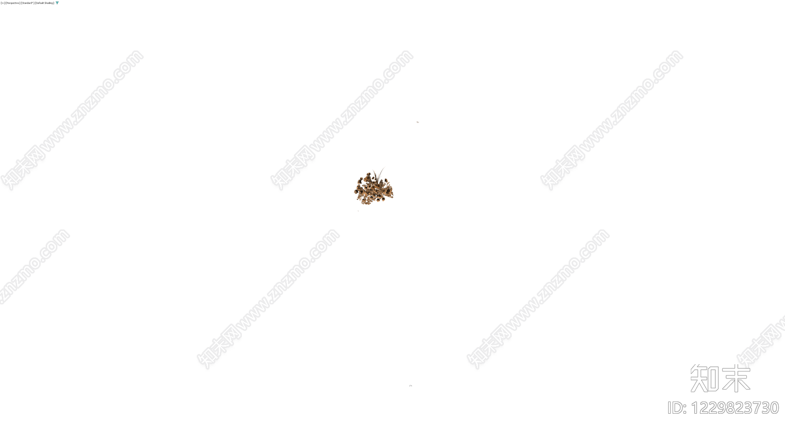 干燥花束组合3D模型下载【ID:1229823730】