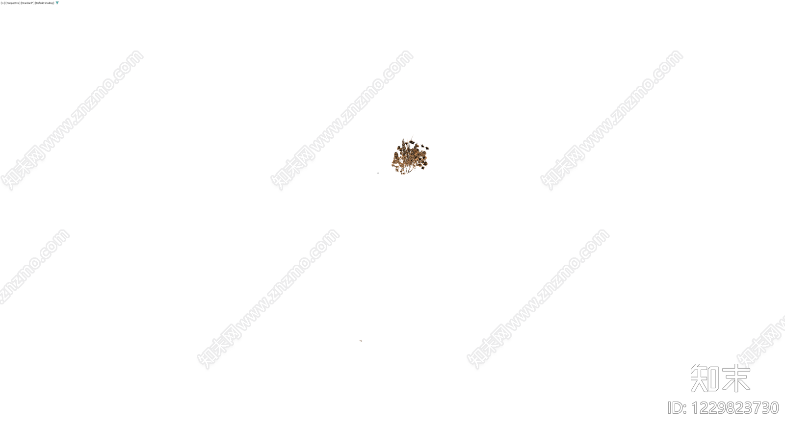干燥花束组合3D模型下载【ID:1229823730】