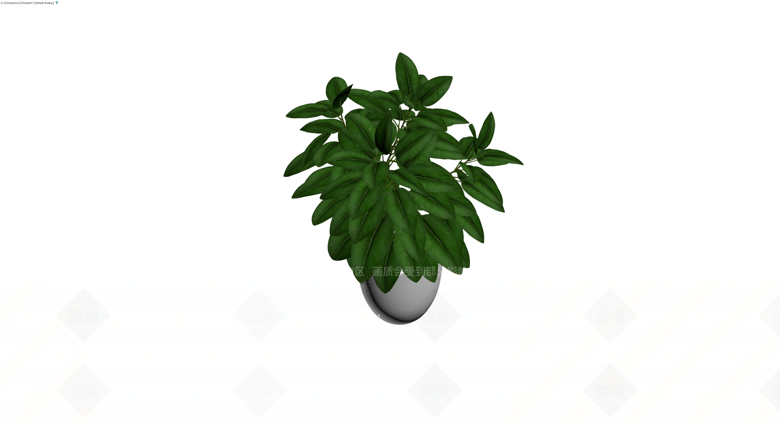 白盆绿植盆栽3D模型下载【ID:1229635707】