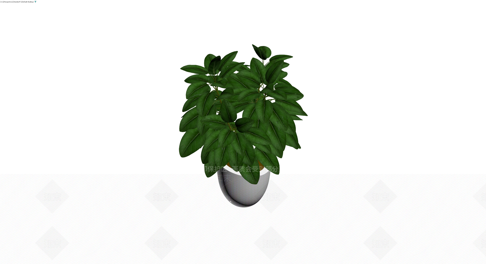白盆绿植盆栽3D模型下载【ID:1229635707】