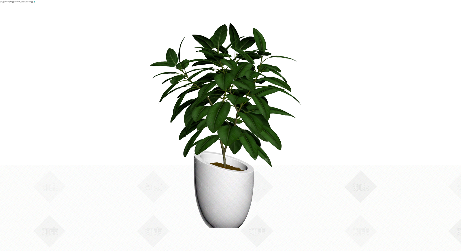 白盆绿植盆栽3D模型下载【ID:1229635707】