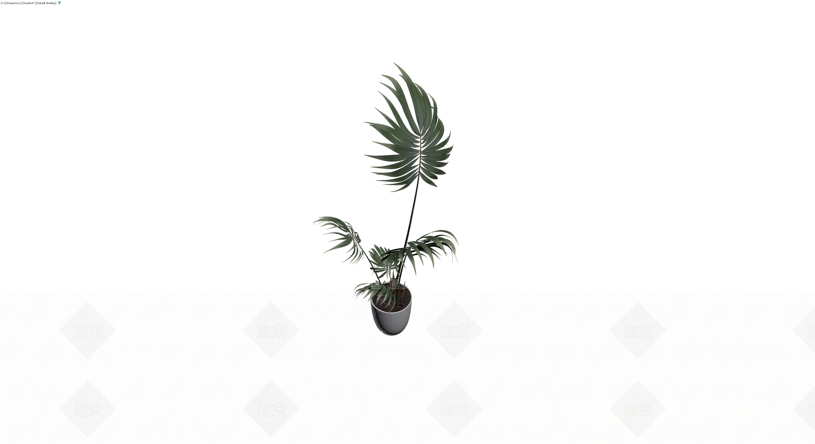 带盆散尾葵盆栽模型3D模型下载【ID:1230131219】