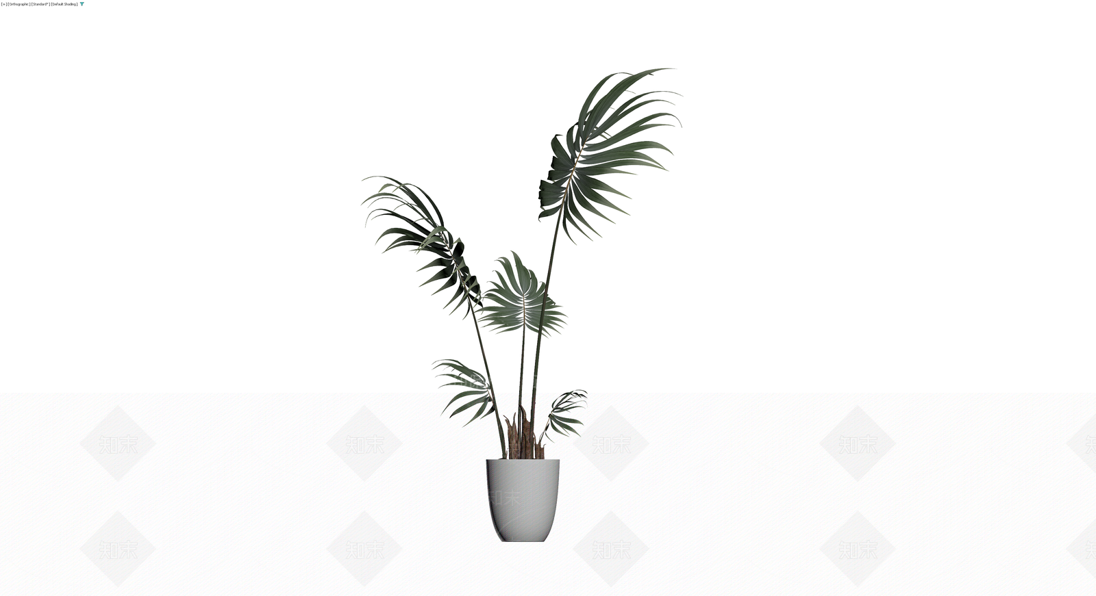带盆散尾葵盆栽模型3D模型下载【ID:1230131219】