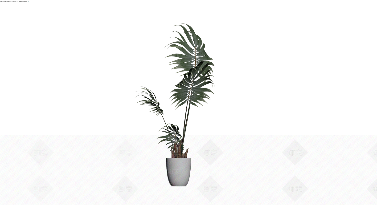 带盆散尾葵盆栽模型3D模型下载【ID:1230131219】