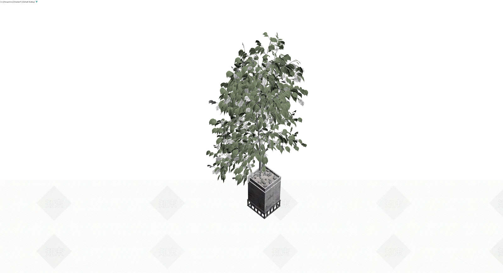 混凝土花盆绿植盆栽3D模型下载【ID:1230325176】