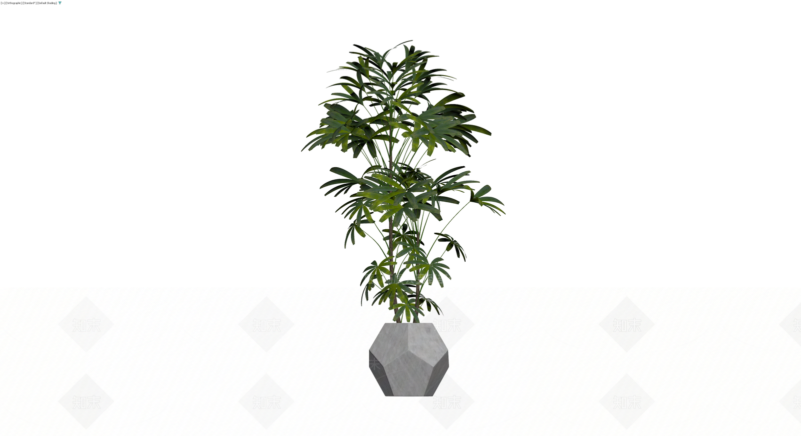 盆栽绿植组合3D模型下载【ID:1229861305】