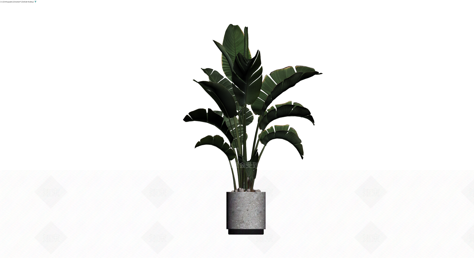 盆栽天堂鸟植物3D模型下载【ID:1229921718】