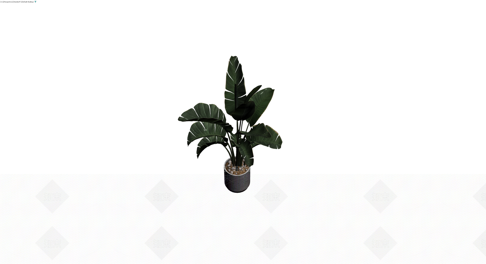 盆栽天堂鸟植物3D模型下载【ID:1229921718】