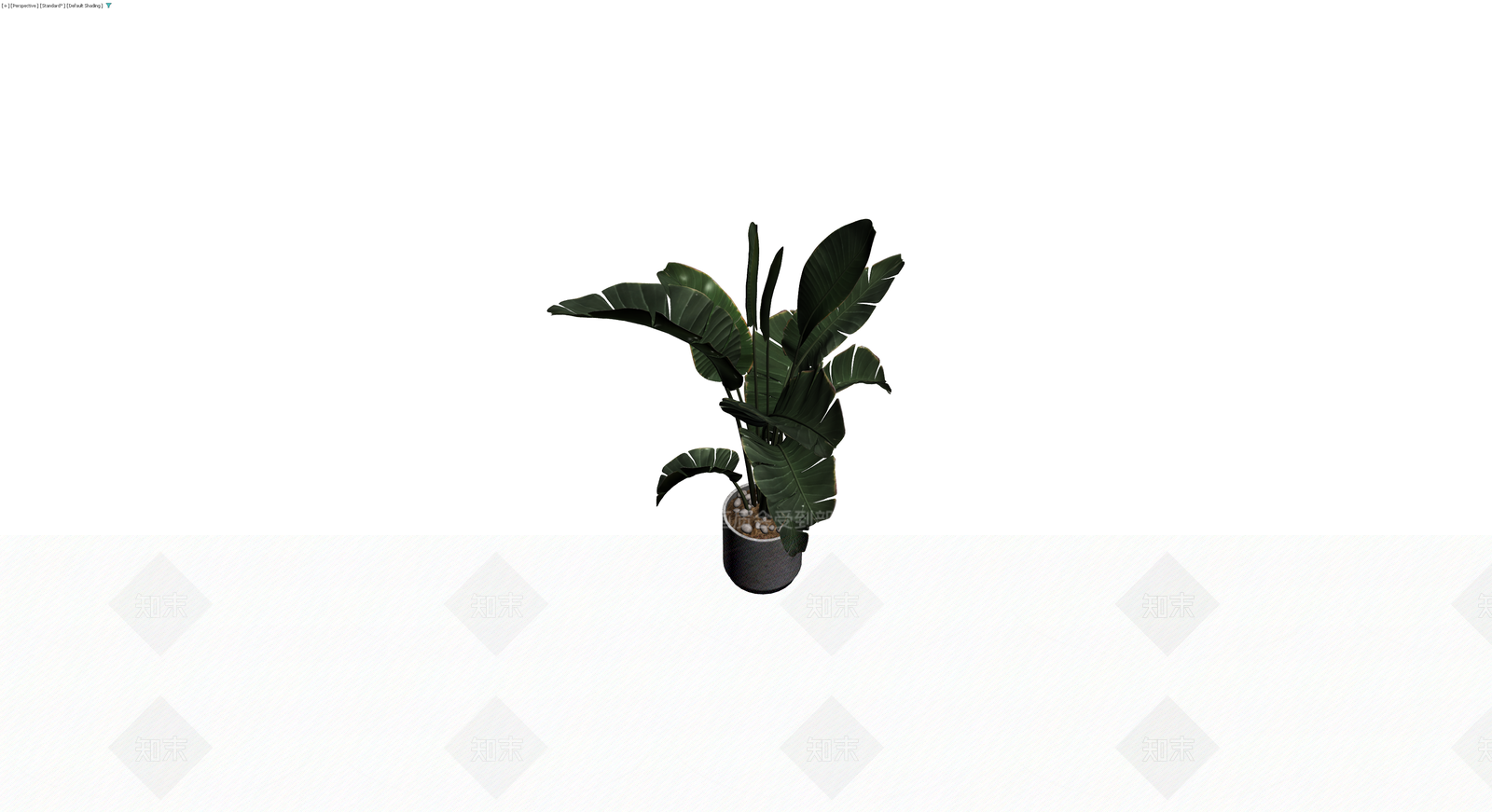 盆栽天堂鸟植物3D模型下载【ID:1229921718】