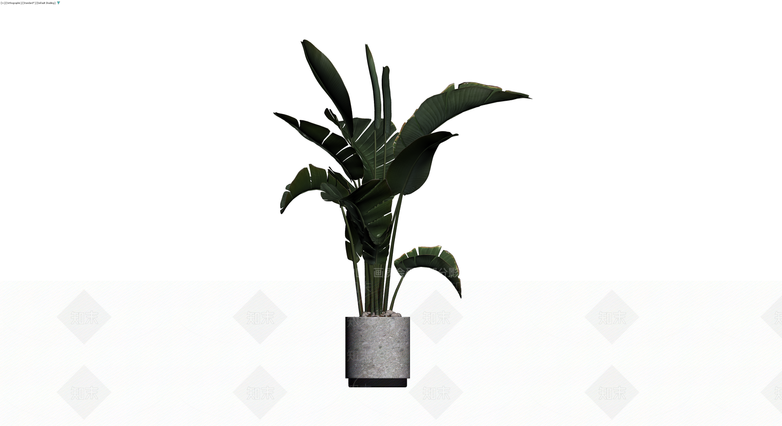 盆栽天堂鸟植物3D模型下载【ID:1229921718】
