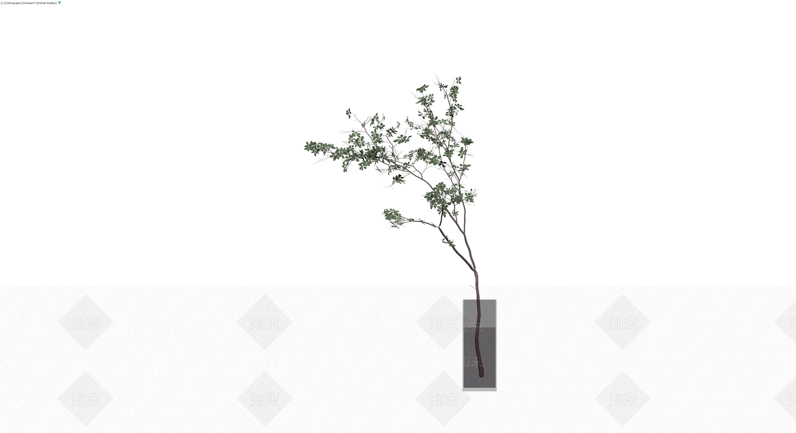 带盆绿植盆栽模型3D模型下载【ID:1230761314】