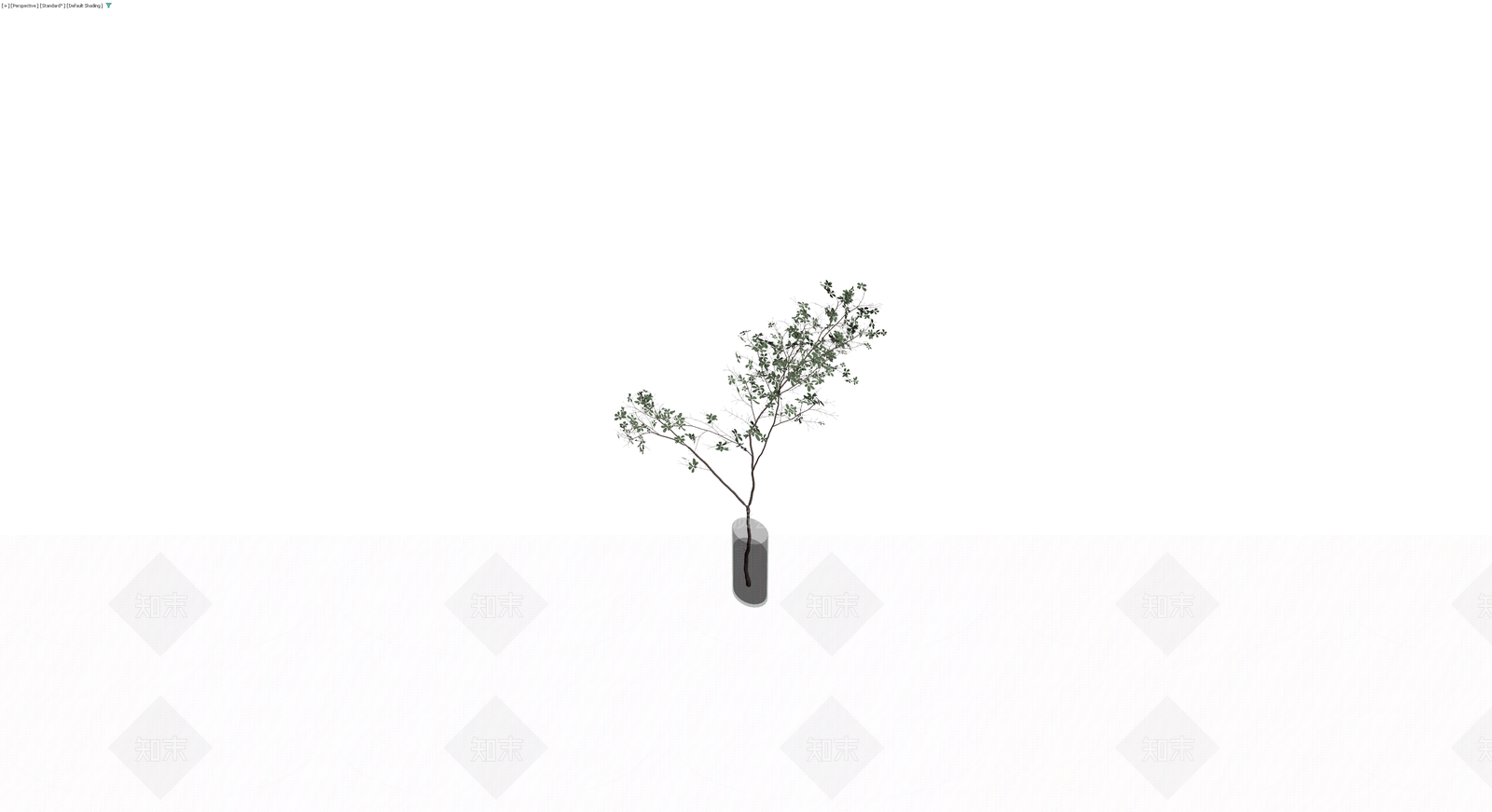 带盆绿植盆栽模型3D模型下载【ID:1230761314】