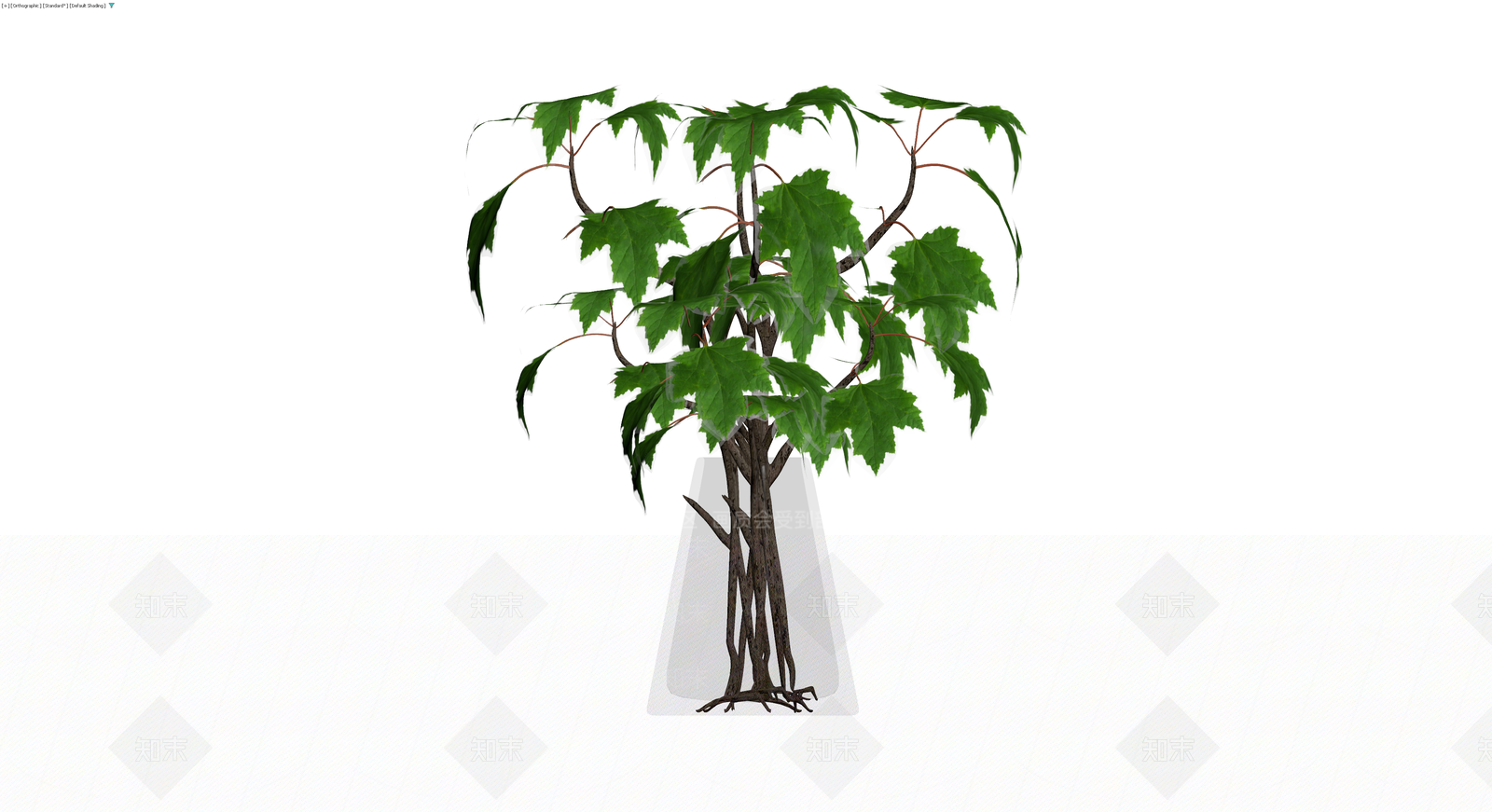 盆栽枫树植物3D模型下载【ID:1229947020】
