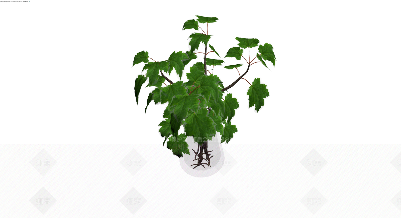 盆栽枫树植物3D模型下载【ID:1229947020】