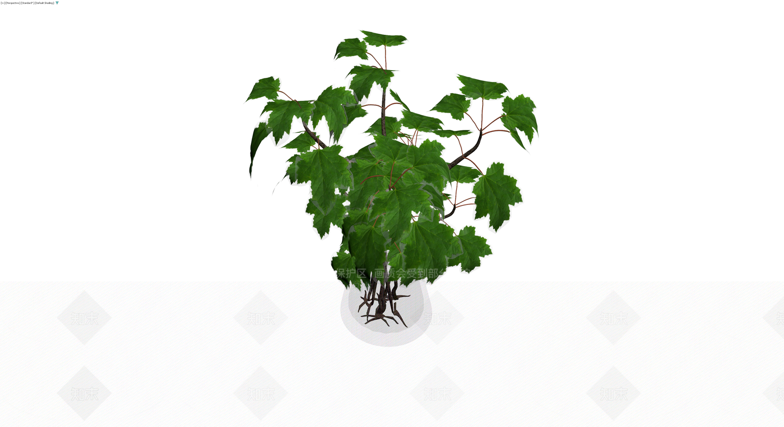 盆栽枫树植物3D模型下载【ID:1229947020】