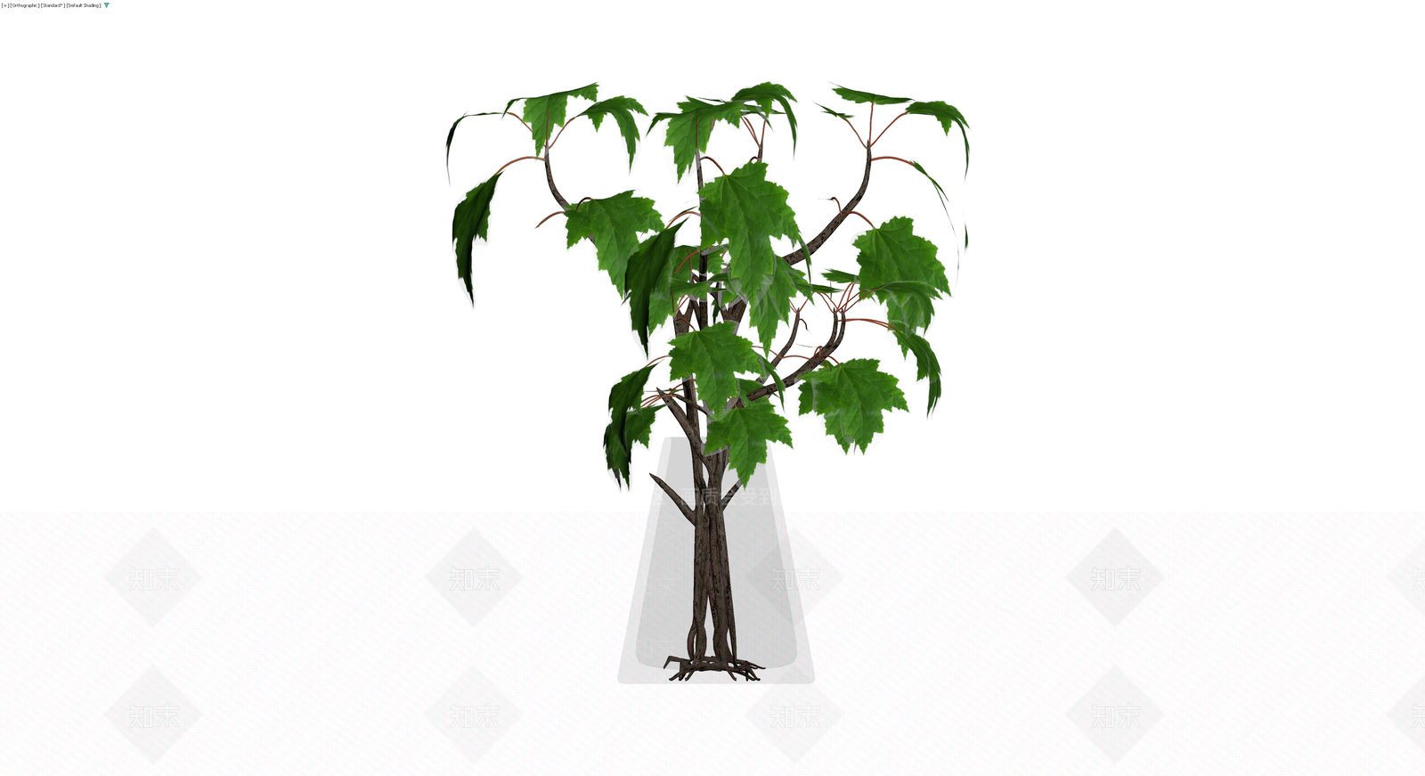 盆栽枫树植物3D模型下载【ID:1229947020】