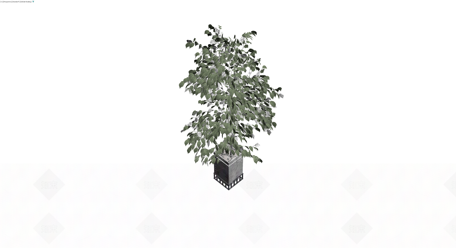 盆栽植物带盆3D模型下载【ID:1230461553】