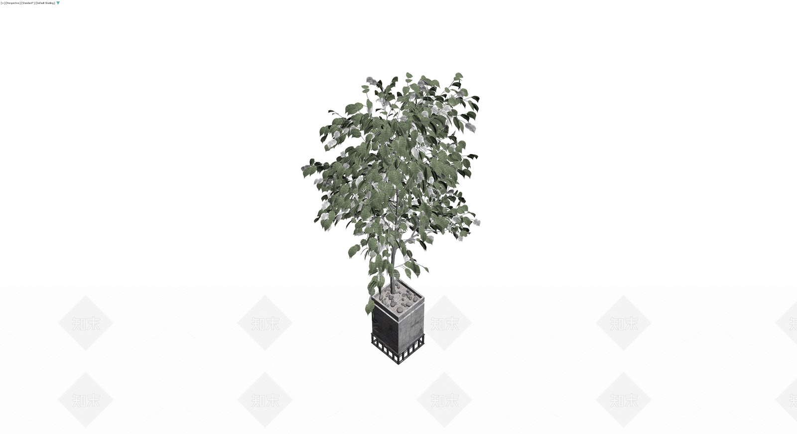 盆栽植物带盆3D模型下载【ID:1230461553】