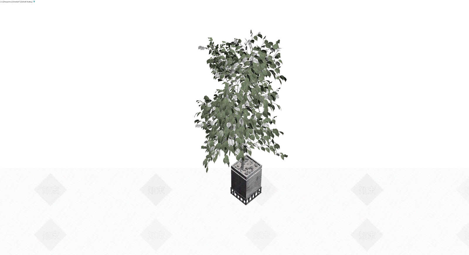 盆栽植物带盆3D模型下载【ID:1230461553】