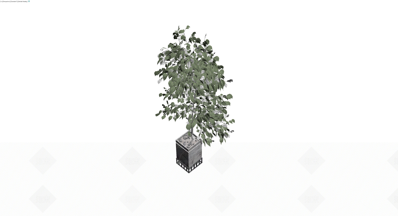 盆栽植物带盆3D模型下载【ID:1230461553】