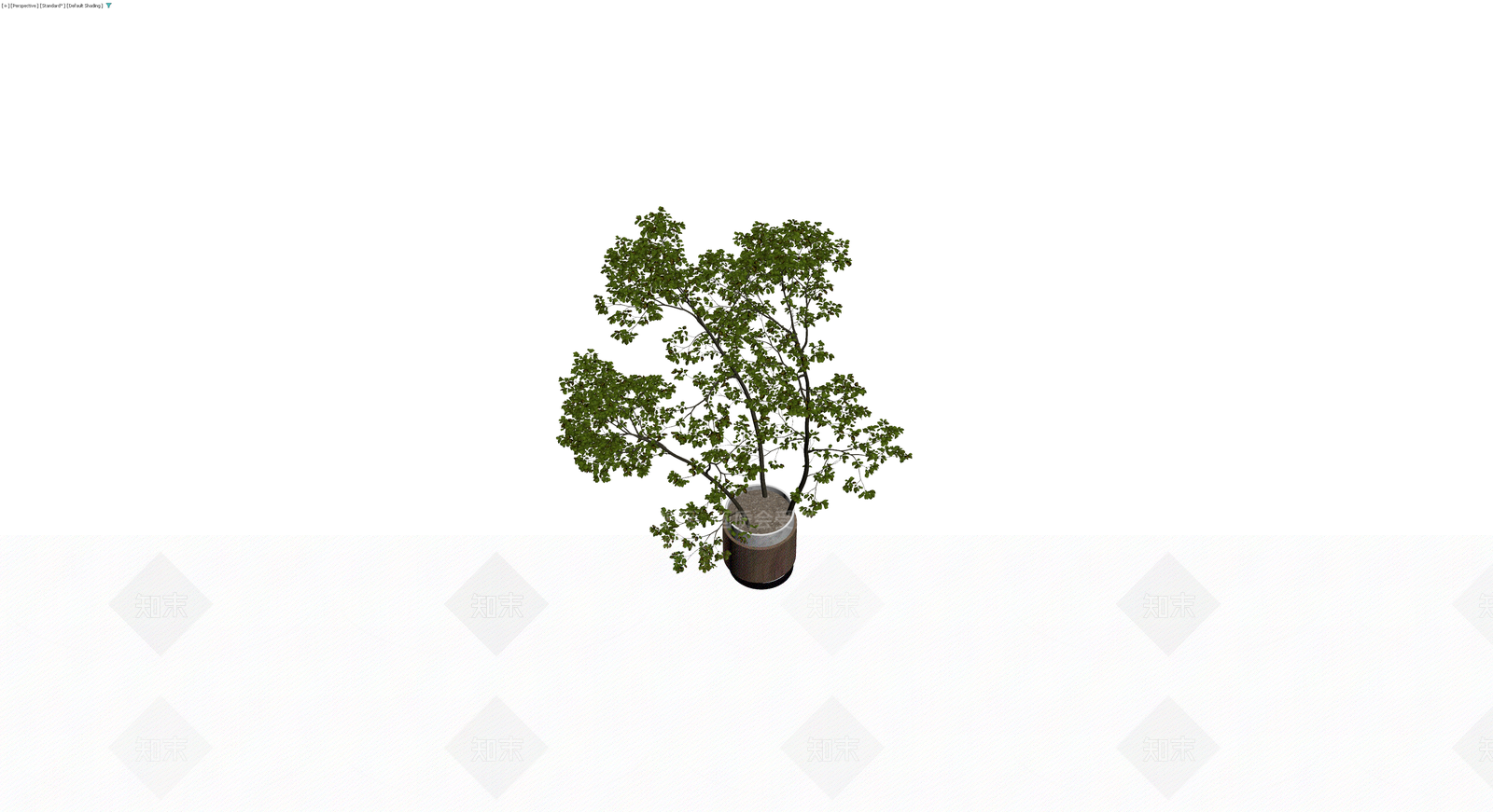 现代风格盆栽绿植3D模型下载【ID:1230389298】