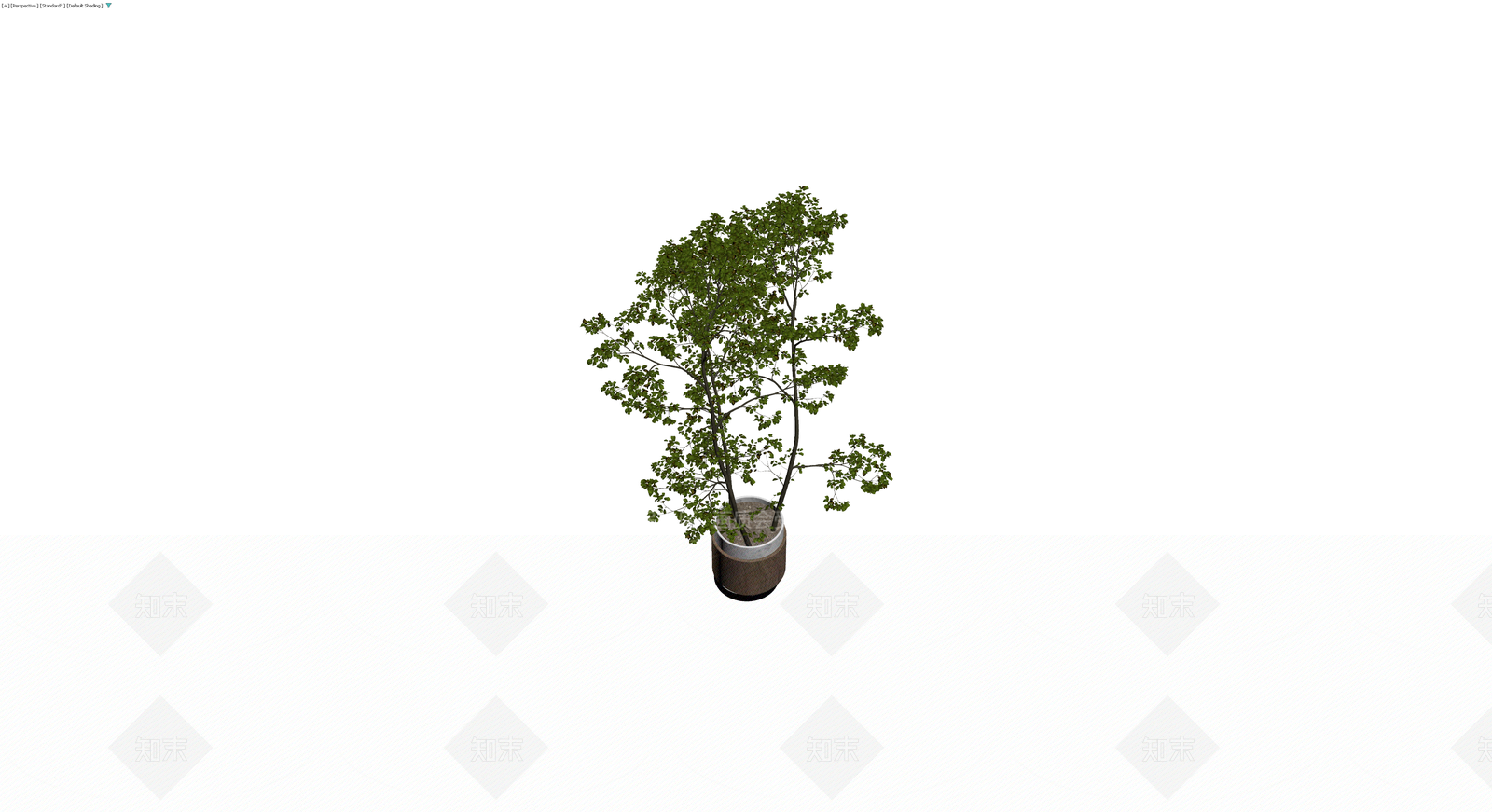 现代风格盆栽绿植3D模型下载【ID:1230389298】