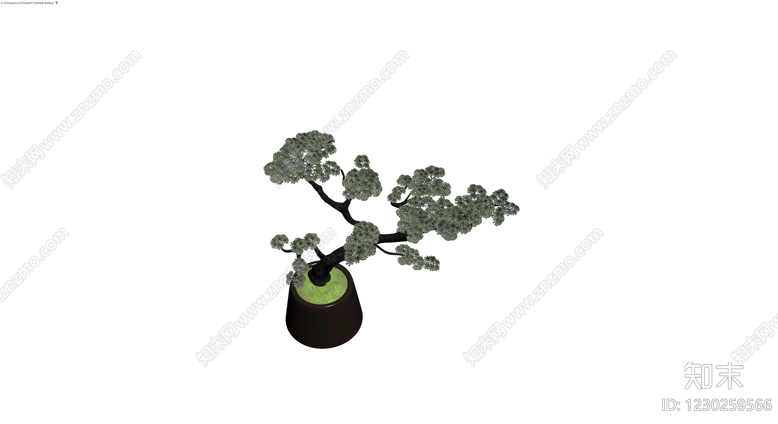 盆栽松树模型3D模型下载【ID:1230259566】