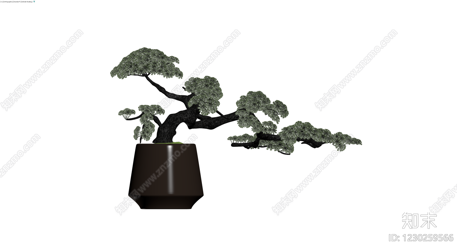 盆栽松树模型3D模型下载【ID:1230259566】