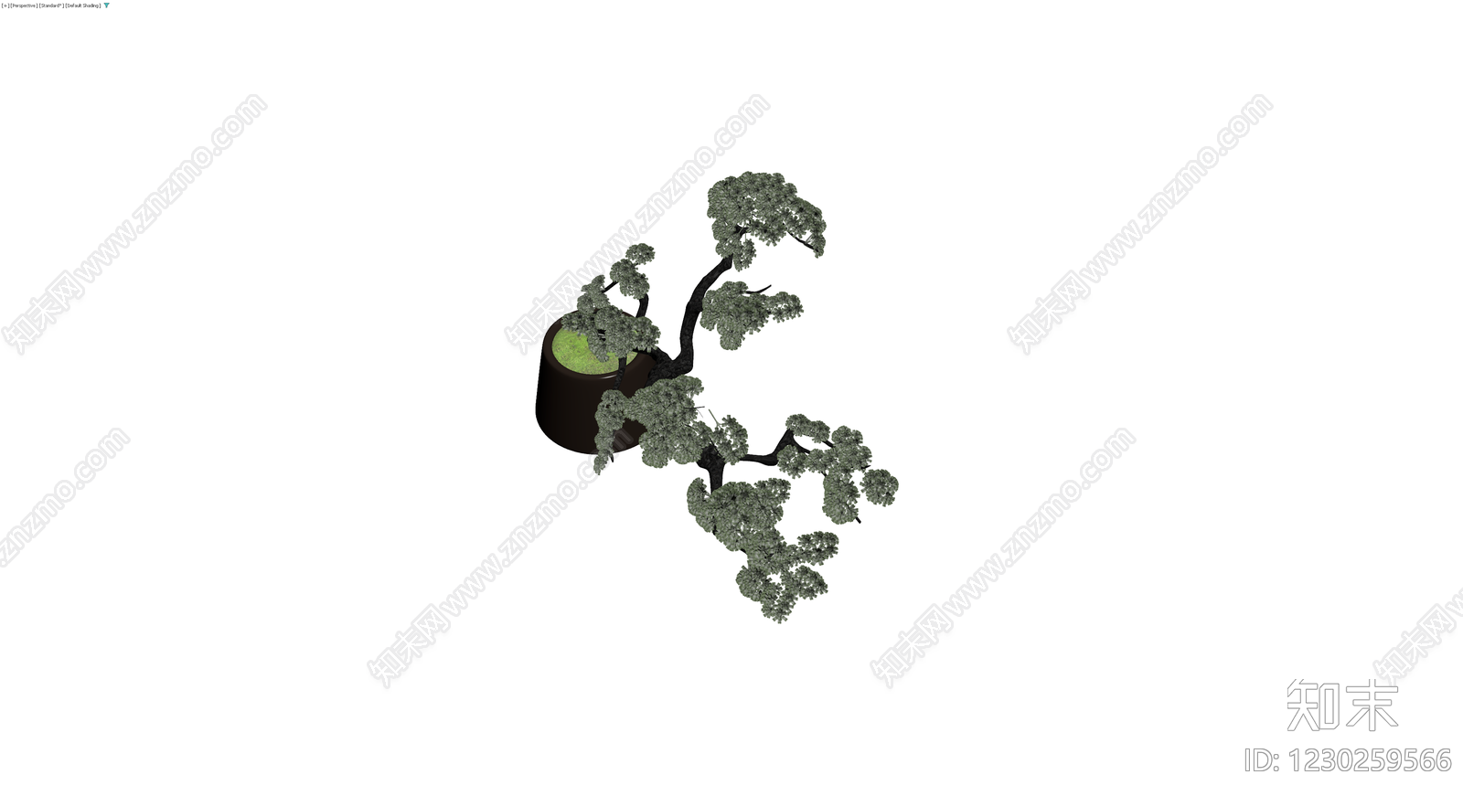 盆栽松树模型3D模型下载【ID:1230259566】