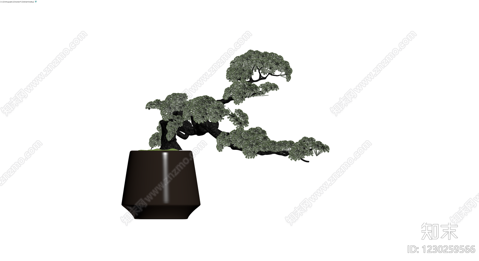 盆栽松树模型3D模型下载【ID:1230259566】