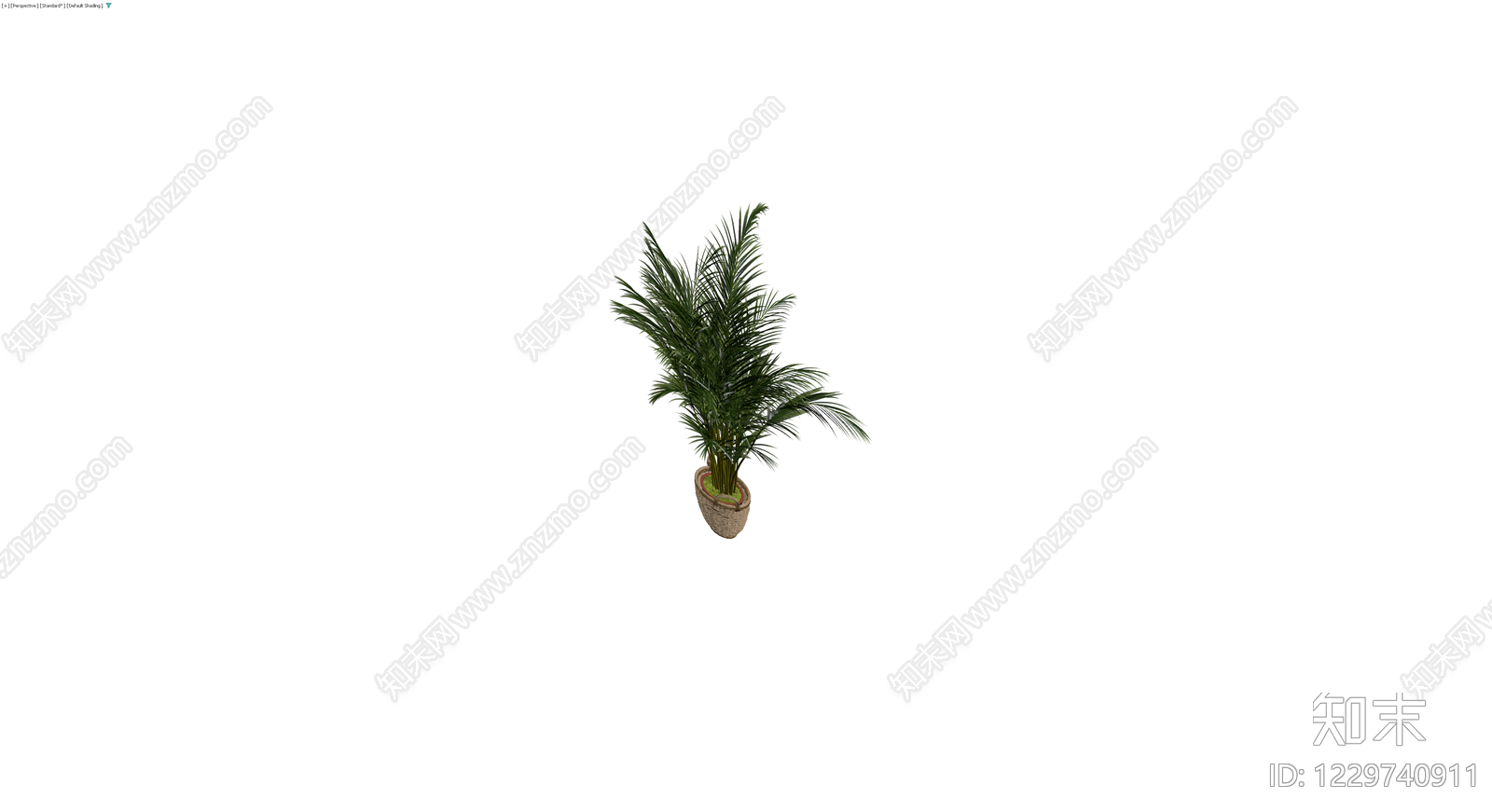 盆栽散尾葵植物3D模型下载【ID:1229740911】